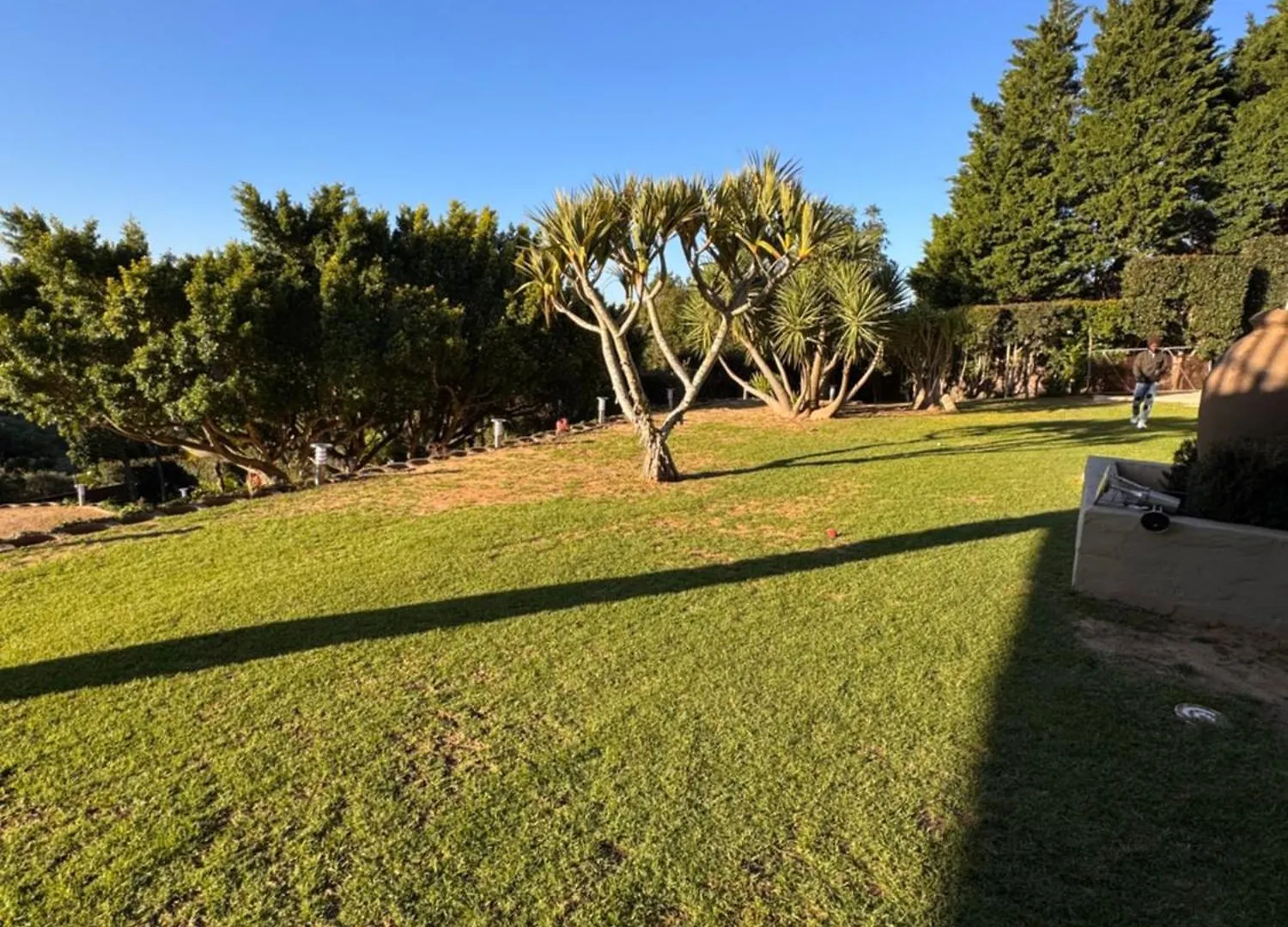 Tatil Evi B Shocked Manor - Lux Suites Cape Town